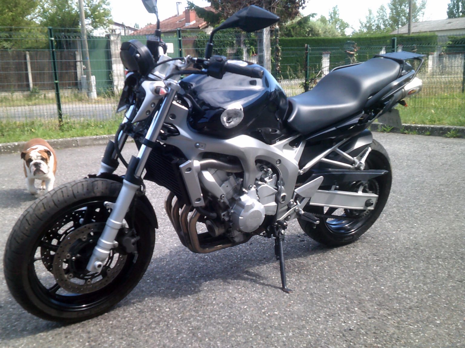fz6 2004